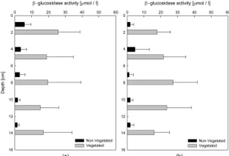 Fig. 5. Vertical distribution of β-glucosidase activity in the vegetated and non-vegetated sediments: (a) growing season, (b) sene- sene-scence