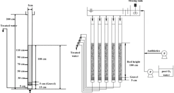 Fig. 1. Schematic diagram of continuous adsorption column.