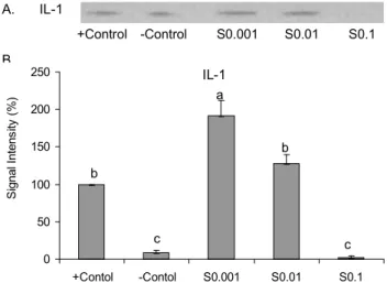 Fig. 2. Representative expression of osteoprotegerin in con- con-ditioned medium of MC3T3-E1 cells treated with silk-  fibroin