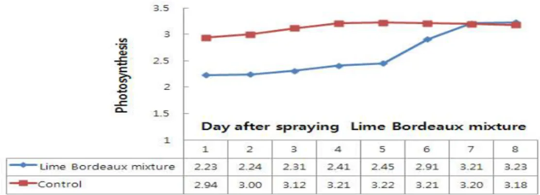 Fig. Changes of photosynthesis as affected by the day after spraying Lime-Bordeaux mixture.