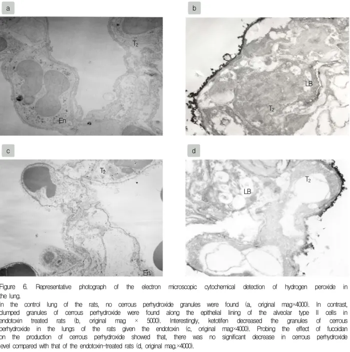 Figure  6.  Representative  photograph  of  the  electron  microscopic  cytochemical  detection  of  hydrogen  peroxide  in  the  lung