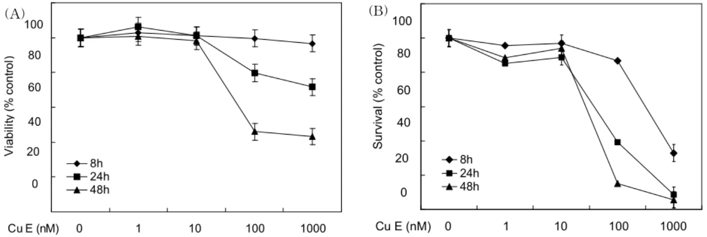 Fig. 7. Effect of cucurbitacin E on PMA-induced in- in-flammatory COX-2 protein expression in A549 cells