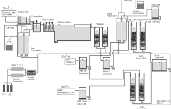Fig. 1. Schematic diagram of pilot plant.