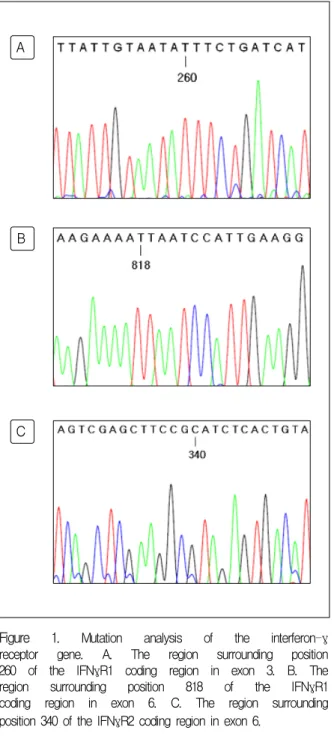 Figure  1.  Mutation  analysis  of  the  interferon-γ  receptor  gene.  A.  The  region  surrounding  position  260  of  the  IFNγR1  coding  region  in  exon  3