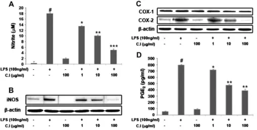 Fig.  2.  Antioxidant  effect  of  CI.  Effect  of  CI  on  the  free  radical  scavenging  activity