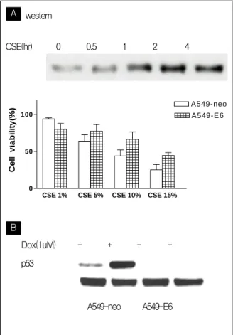 Figure  6.   Bcl-2  reduced  CSE-induced  cell  death.
