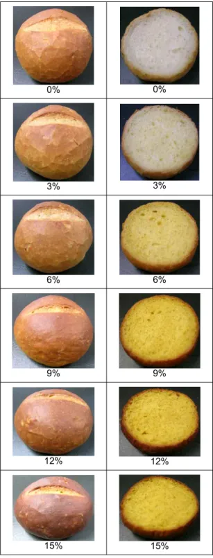 Fig. 1. External and internal surface appearance of hard roll  breads with concentrated sweet pumpkin powder.