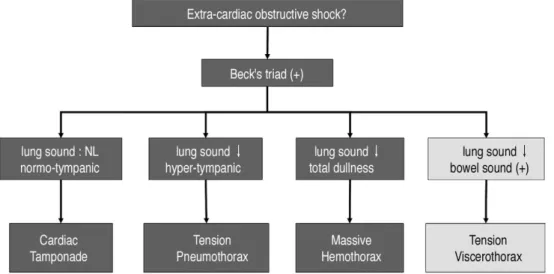 Fig. 5. Proposed algorithm for the assessment of extra-cardiac obstructive shock. NL; normal.