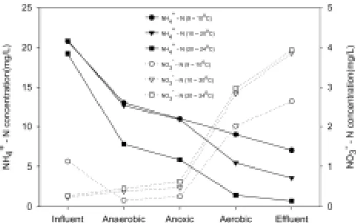 Fig. 5. Ammonium and nitrate concentrations in influent, an- an-aerobic, anoxic, oxic, and effluent zones.