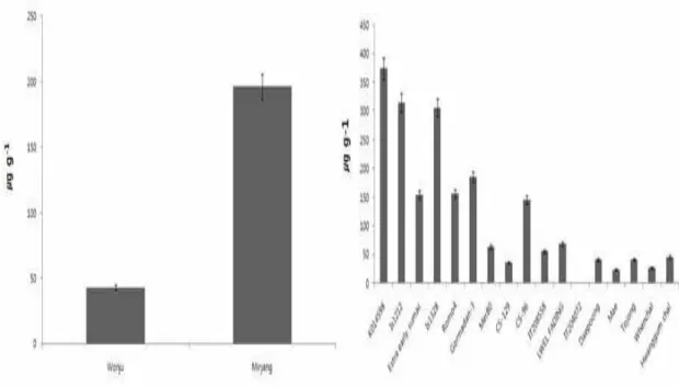 Figure 2. Total average β-sitosterol in