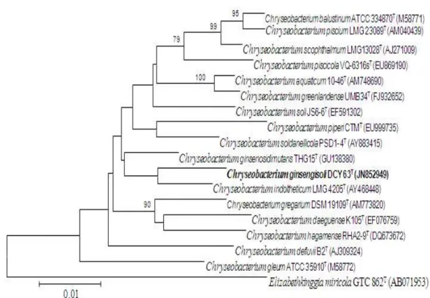 Fig 1. Neighbor-Joining phylogenetic tree based on 16S rRNA gene sequence are constructed, showing taxonomic position of the strain DCY 63 T in the genus