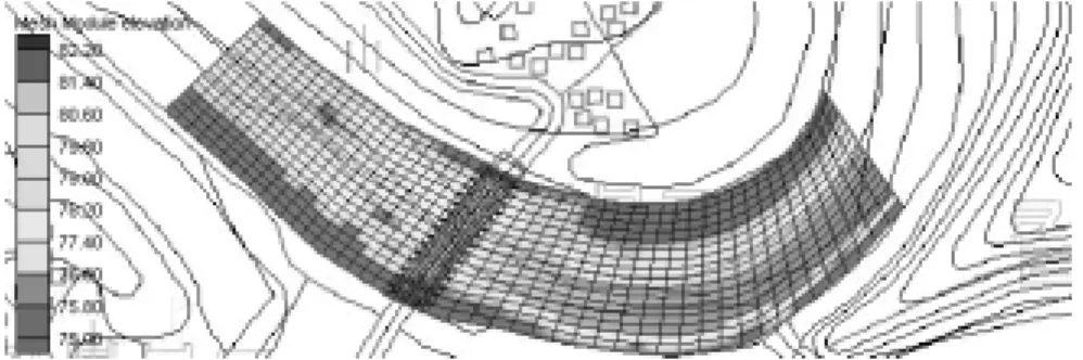 Fig. 8. Channel elevation in mesh module.
