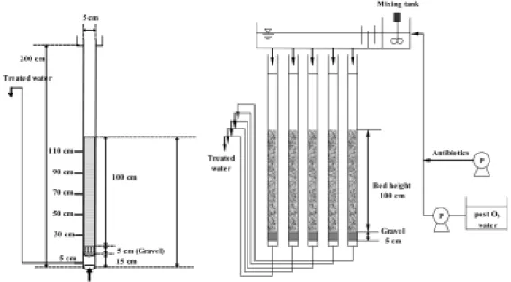 Fig. 1. Schematic diagram of continuous adsorption column.