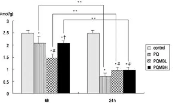 Fig. 2. The effect of methylene blue on lung GSH level.
