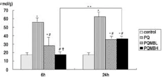 Fig. 3. The effect of methylene blue on plasma NO concentration.