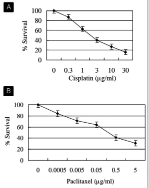 Fig. 1. Cisplatin  and  paclitaxel  decrease  cell  survival  in  lung  cancer  cells
