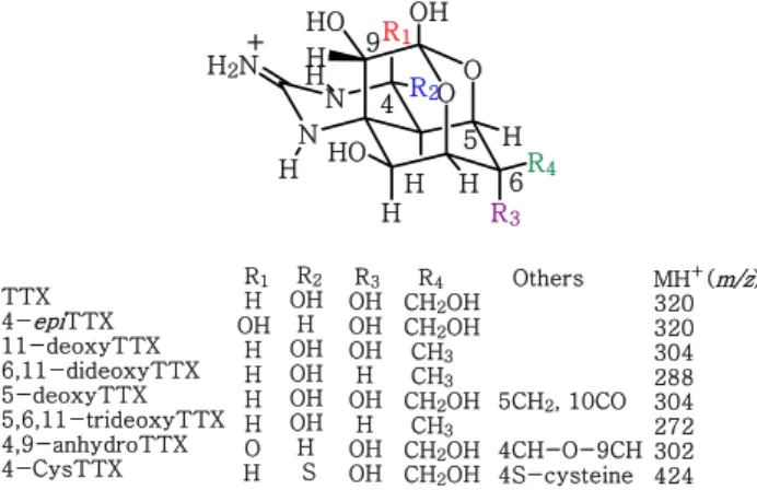 Fig.  1.  Structures  of  tetrodotoxin  (TTX)  analogues.