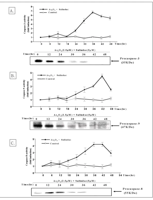 Fig. 3. Combination treatment of As 2 O 3 and sulindac increased the catalytic activity of caspase-3,8,9 protease and cleaved procaspase-3, 8, 9 protease of NCI-H157 lung cells in a time-dependent manner