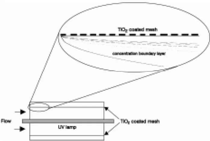 Fig. 1. Theoretical concentration boundary layer formed on the  TiO 2  coated stainless mesh.