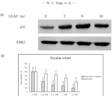 Fig. 6. Activation  of  p53  by  SNAP  in  A549  cells  and  inhibition  of  NO-induced  cell  death  by  functional  block  of  p53