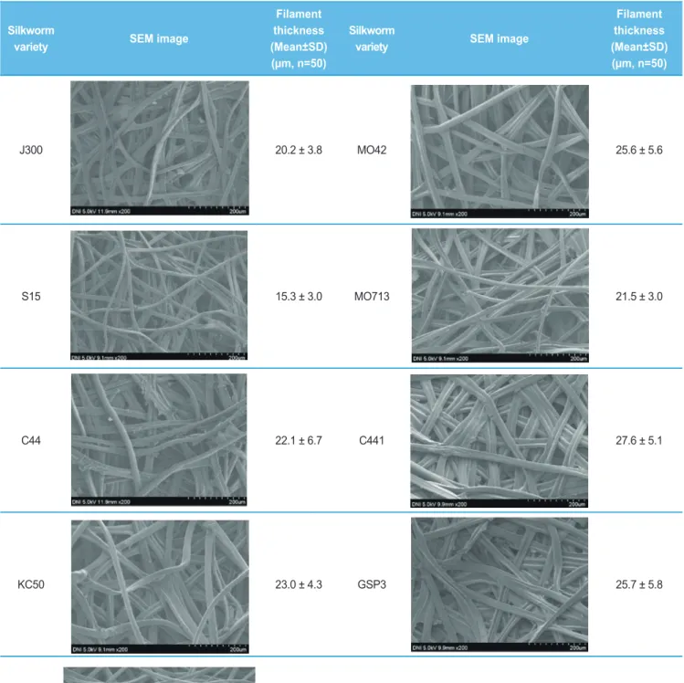 Table 2. FE-SEM images and filament thickness of the outside of the cocoons from different varieties of silkworms 