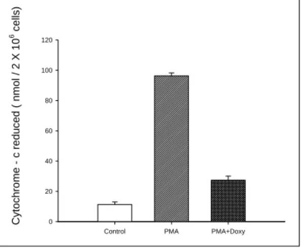 Fig. 3. Effect  of  doxycycline  on  the  generation  of  free  radicals  from  isolated  human  neu 