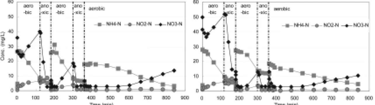 Fig. 3은  본  연구의  실험  RUN1과  RUN2의  실험  결과를  나타내고  있다. Fig. 3에서  DO  농도가  5 ppm 이상으로  주 입된  첫  호기조건과  DO  농도가  2 ppm 이상으로  주입된  두  번째  호기조건에서  합성  폐수  주입  후  NH 4 + -N의  농도 는  감소하는  반면, NO 2 - -N와  NO 3 - -N의  농도는  증가하는  질산화  반응이  발생함을  확인할  수  있었다
