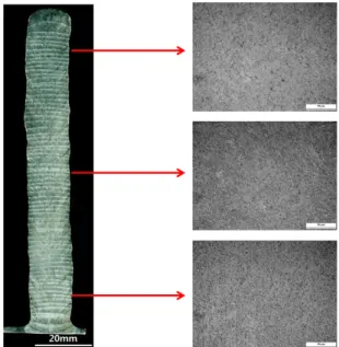 Fig. 6  Cross section and microstructure of Ti-6Al-4V  deposition without peening