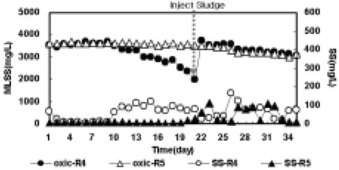 Fig. 9. Daily variation of MLSS &amp; effluent SS concentration  of Reactor 4 and 5. 많아  반응조내  MLSS의  농도가  2,000 mg/L 이하로  떨어져  인위적으로  외부  슬러지를  주입하여  초기농도를  조절하였다