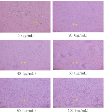 Fig.  7.  Effect  of  four  different  fractions  from  Makgeoly  (MG)  on  the  quinone  reductase  in  HepG2  cells