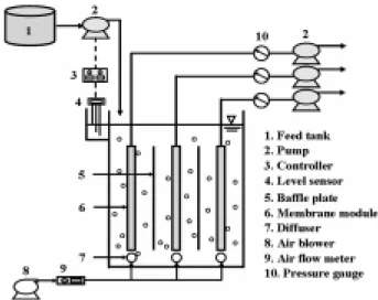 Fig. 1. Experimental setup.