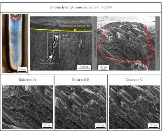 Fig. 5  Appearance and fracture surface, as observed by SEM, after the transverse-varestraint test (for sodium-free condition)