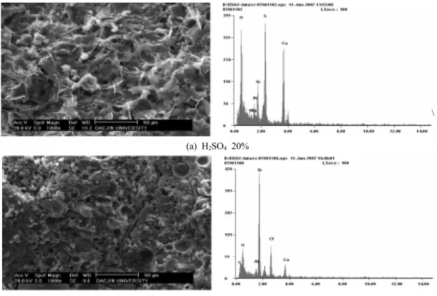 Fig. 4. SEM and EDAX analysis of AAFC-concrete immersed for 90 days on 20% H 2 SO 4  and HCl.
