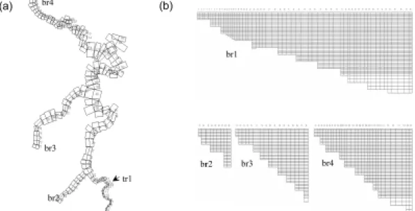 Fig. 2. System segmentation; (a) Top view(x-y), (b) Side view(y-z).