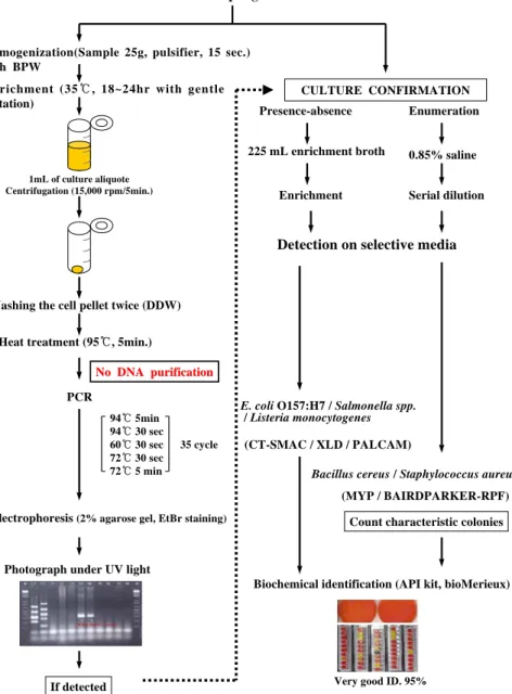 Fig.  1.  Detection  procedures  for  hazardous  microbials  in  raw  materials  and  cooked  food  samples