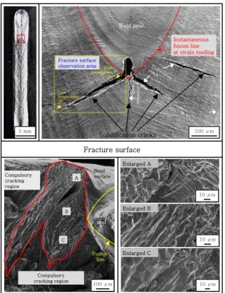 Fig. 3  Solidification cracking appearance and fracture  surface after laser beam welding (LBW)  trans-verse-Varestraint test (welding speed: 20.0 mm/s) for type 316-B stainless steel weld metal