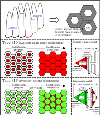 Fig. 1  Schematic illustration of simulation model for  solidification segregation behavior