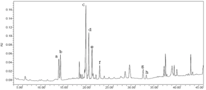 Fig.  1.  HPLC  profiles  of  ginsenosides  detected  from  the  red  ginseng  extract  by  extracting  at  75 o C  24  hours