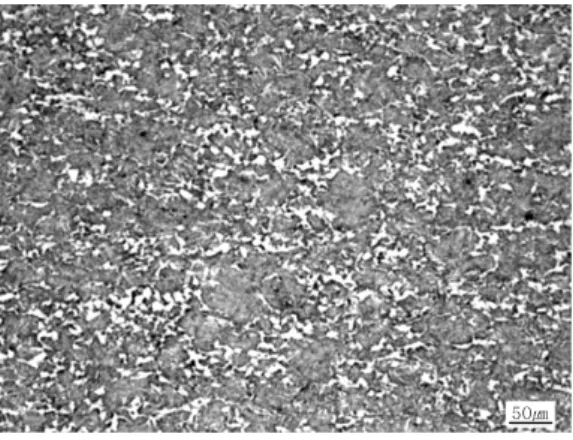 Fig. 10  Microstructure of F-B steel