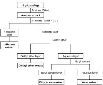 Fig.  4.  Morphological  change  by  extracts  of  S.  plicata  in  HT ⁃ 29  cells  ( × 100)