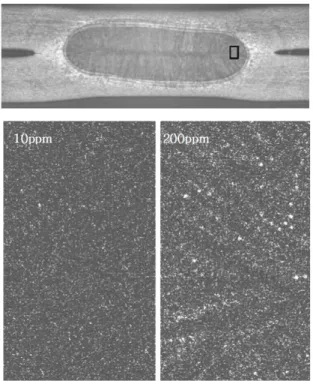 Fig. 2  Fracture images with P content 