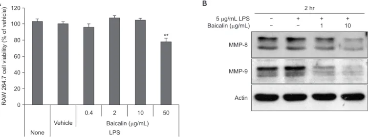 Fig. 5.  (A) Effect of baicalin on RAW 264.7 cell viability. RAW 264.7 cells were treated with baicalin and 1 µg/mL of lipopolysaccharide (LPS) for 4 days