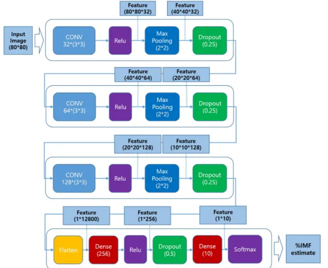 Figure 7. The proposed CNN architecture for Hanwoo %IMF estimation