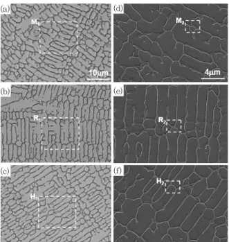 Fig.  6은  FZ의  SEM조직과  EPMA  면분석  결과를  나타낸  것이고,  Fig.  7은  용융부를  XRD로  분석한  결 과를 나타낸 것이다