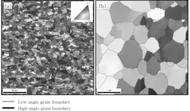 Fig. 1  Cross sectional SEM micrograph of welded mate- mate-rials