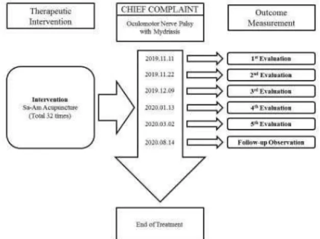 Fig.  1.  Treatment  Timeline