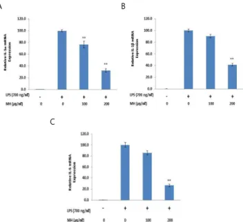 Fig.  4.  Effects  of  MH  on  LPS-stimulated  IL-1α,  IL-1β  and  IL-6  mRNA  expression  in  RAW  264.7  cells