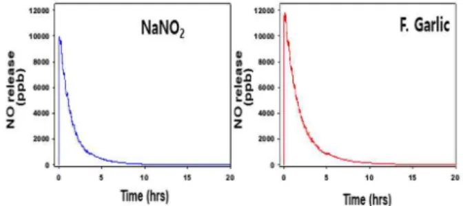 Fig.  2.  Time-dependent  changes  in  production  of  NO  detected  by  a  chemiluminescence  detector  from  NaNO 2   solution  with  15  μmol  of  NO 2 -   and  F