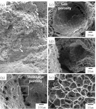 Fig. 20  SEM micrographs of distribution of  porosity in  fusion zone fracture surface (a) : Diagonal  frac-ture surface, micrographs (b) denoted as W in  (a),  micrographs (c) magnified □ in (b)