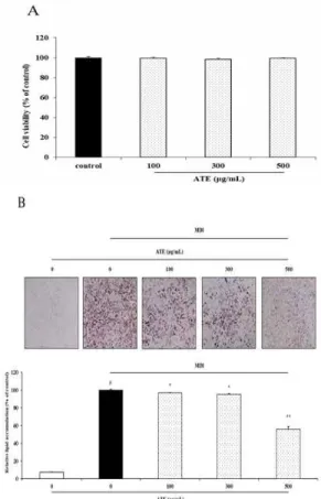 Fig.  1.  Effects  of  ATE  on  cell  viability  and  adipocyte  differentiation  in  3T3-L1  preadipocytes